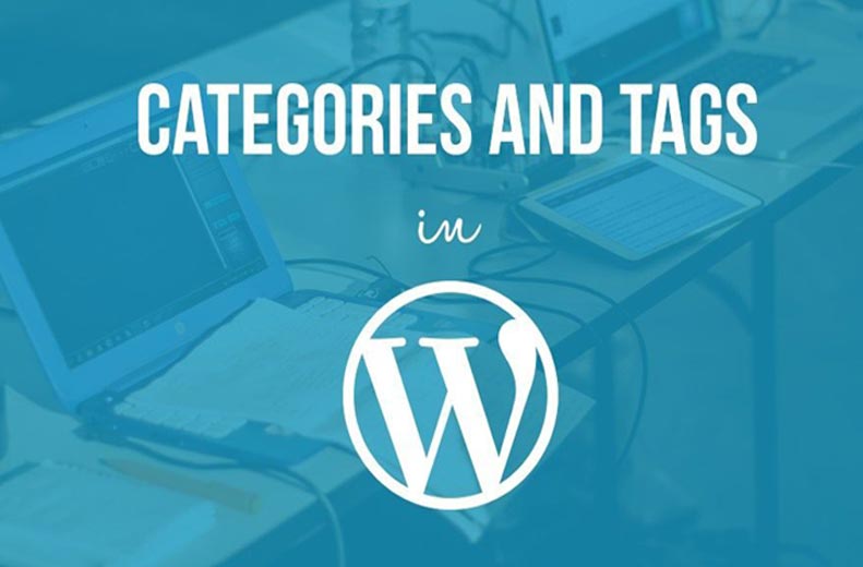 WordPress Categories And Tags